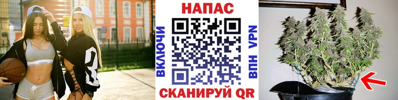 Продажа наркотиков Нолинск COCAIN Марихуана Амфетамин Галлюциногенные грибы Меф Гашиш