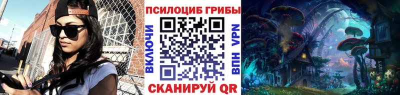 кракен маркетплейс  Нолинск  Галлюциногенные грибы Magic Shrooms  купить наркотики цена 